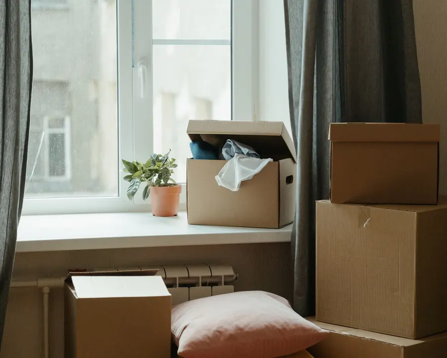 Umzugshelfer trägt Umzugskarton in einer Wohnung