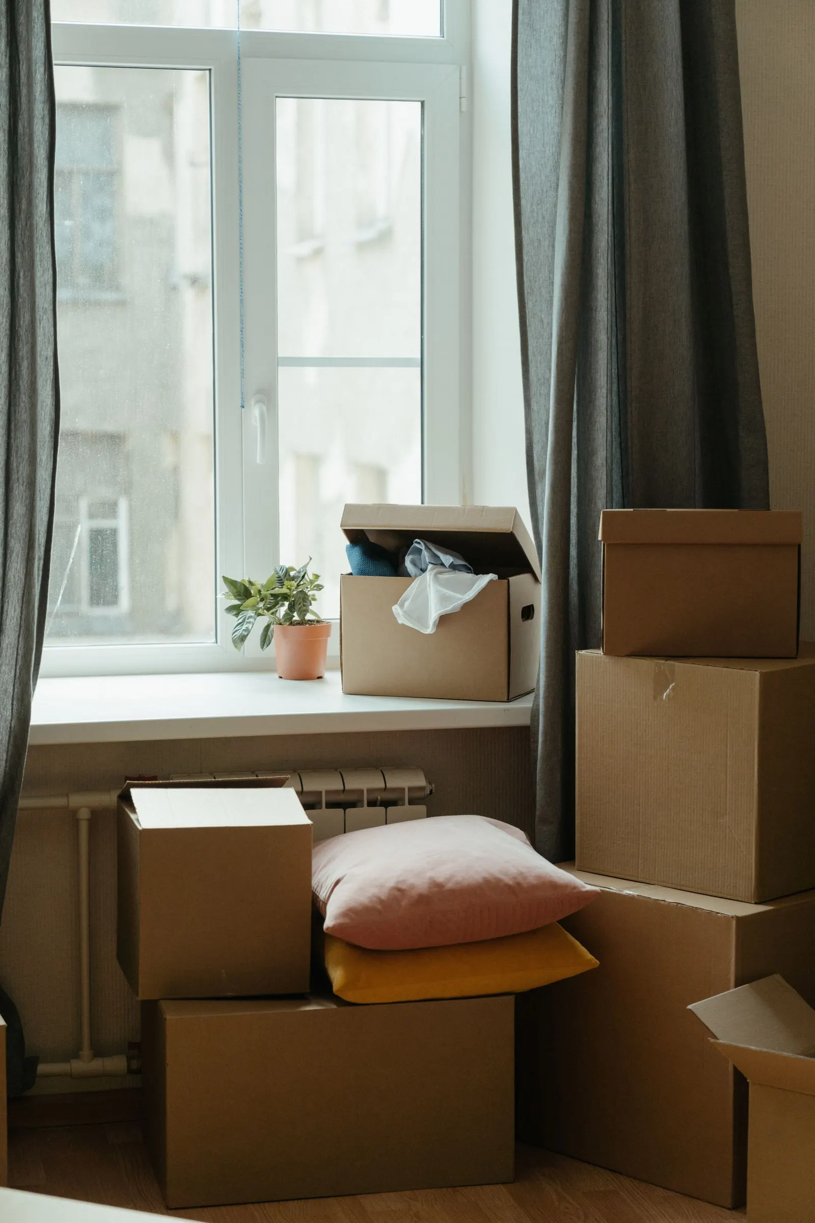 Umzugshelferin von Move It Easy trägt einen Umzugskarton durch eine helle Wohnung